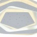 Светильник потолочный F-Promo Ledolution 2281-5C