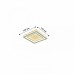 Светильник потолочный F-Promo Ledolution 2282-5C