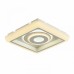 Светильник потолочный F-Promo Ledolution 2283-5C