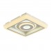 Светильник потолочный F-Promo Ledolution 2283-5C