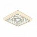 Светильник потолочный F-Promo Ledolution 2284-5C