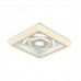 Светильник потолочный F-Promo Ledolution 2284-5C