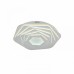 Светильник потолочный F-Promo Ledolution 2289-8C