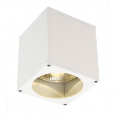 Уличный потолочный светильник SLV Big Theo Ceiling Out 229551