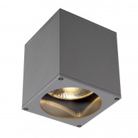 Уличный потолочный светильник SLV Big Theo Ceiling Out 229554