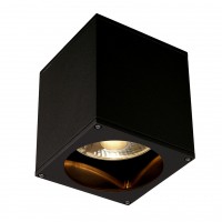 Уличный потолочный светильник SLV Big Theo Ceiling Out 229555 Уличный потолочный светильник SLV Big Theo Ceiling Out 229555