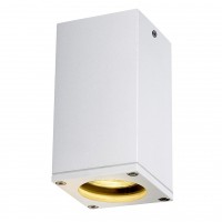 Уличный потолочный светильник SLV Theo Ceiling Out 229581