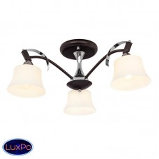 Потолочная люстра Silver Light Assol 231.59.3