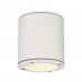 Уличный потолочный светильник SLV Sitra Ceiling 231541