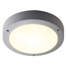 Уличный накладной светильник SLV Dragan Sensor 232424