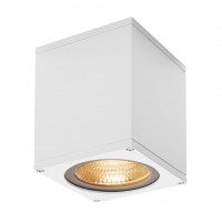 Уличный настенный светильник SLV Big Theo Led WL 234521 Уличный настенный светильник SLV Big Theo Led WL 234521