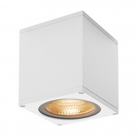 Уличный настенный светильник SLV Big Theo Led CL 234531 Уличный настенный светильник SLV Big Theo Led CL 234531