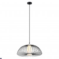 Светильник подвесной Favourite Dimidium 2371-1P