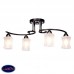 Потолочная люстра Silver Light Coffee 239.59.4 Потолочная люстра Silver Light Coffee 239.59.4
