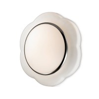 Настенно-потолочный светильник Odeon Light BAHA 2403/2C