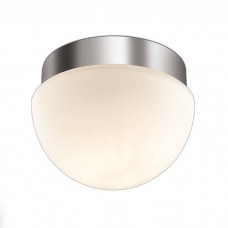 Потолочный светильник Odeon Light MINKAR 2443/1A