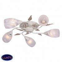 Люстра потолочная F-Promo Plato 2444-5U