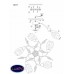 Люстра потолочная F-Promo Plato 2444-5U
