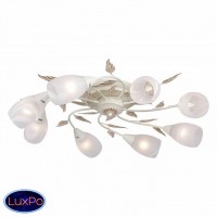 Люстра потолочная F-Promo Plato 2444-8U
