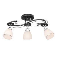Потолочная люстра Silver Light Austerity 245.59.3