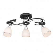 Потолочная люстра Silver Light Austerity 245.59.3