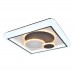 Светильник потолочный F-Promo Lamellar 2458-5C