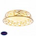 Подвесной светодиодный светильник Favourite Arcanum 2507-5PC