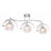 Настенно-потолочный светильник Silver Light Sfera 255.54.3
