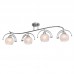Настенно-потолочный светильник Silver Light Sfera 255.54.4