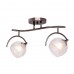 Люстра потолочная Silver Light Sfera Черный 255.59.2