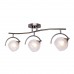Люстра потолочная Silver Light Sfera Черный 255.59.3