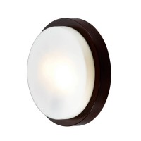 Настенно-потолочный светильник Odeon Light Holger 2744/2C
