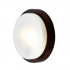 Настенно-потолочный светильник Odeon Light Holger 2744/2C