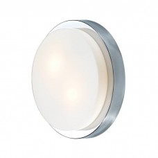 Настенно-потолочный светильник Odeon Light Holger 2746/2C