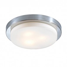 Настенно-потолочный светильник Odeon Light Holger 2746/3C