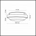 Настенно-потолочный светильник Odeon Light Tavoy 2760/1C
