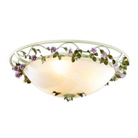 Настенно-потолочный светильник Odeon Light Tender 2796/3C