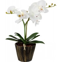 Настольная светодиодная лампа Globo Flowerpower 28002