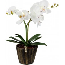 Настольная светодиодная лампа Globo Flowerpower 28002
