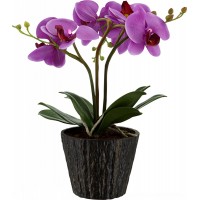 Настольная светодиодная лампа Globo Flowerpower 28003
