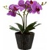 Настольная светодиодная лампа Globo Flowerpower 28003