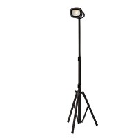 Столб уличный светодиодный Lucide Profi 29815/14/30