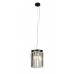Светильник подвесной Divinare Nova 3001/01 SP-1