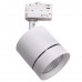 Светильник трековый Lightstar Canno 301564