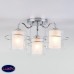 Потолочная люстра с хрусталем Eurosvet Darcy 30160/3 хром
