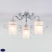 Потолочная люстра с хрусталем Eurosvet Darcy 30160/3 хром