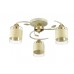 Люстра потолочная Lumion Filla 3029/3C