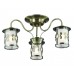 Люстра потолочная Lumion Sekvana 3118/3C