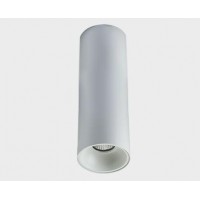 Потолочный светильник Megalight 3160-25 white