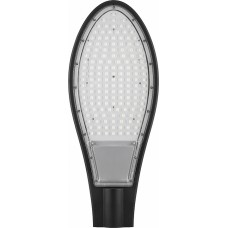 Светодиодный уличный консольный светильник Feron SP2928 32220
